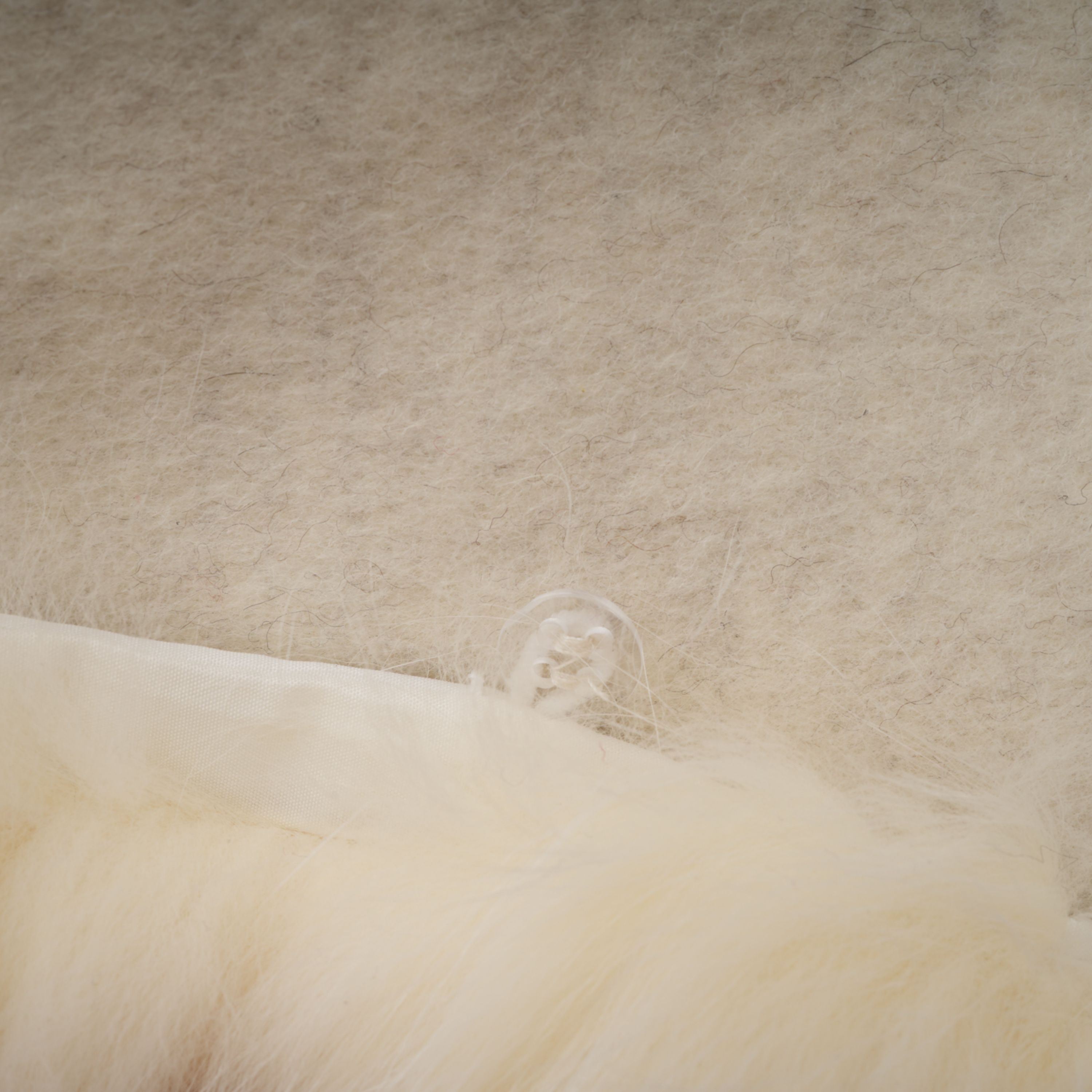 معطف سيليسيا أبيض بحزام وحواف من الفرو